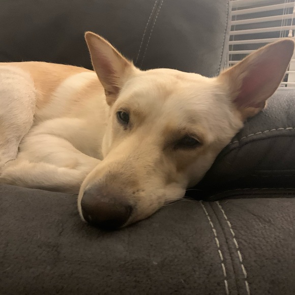 Like this to bookmark my closet! - Picture 8 of 9